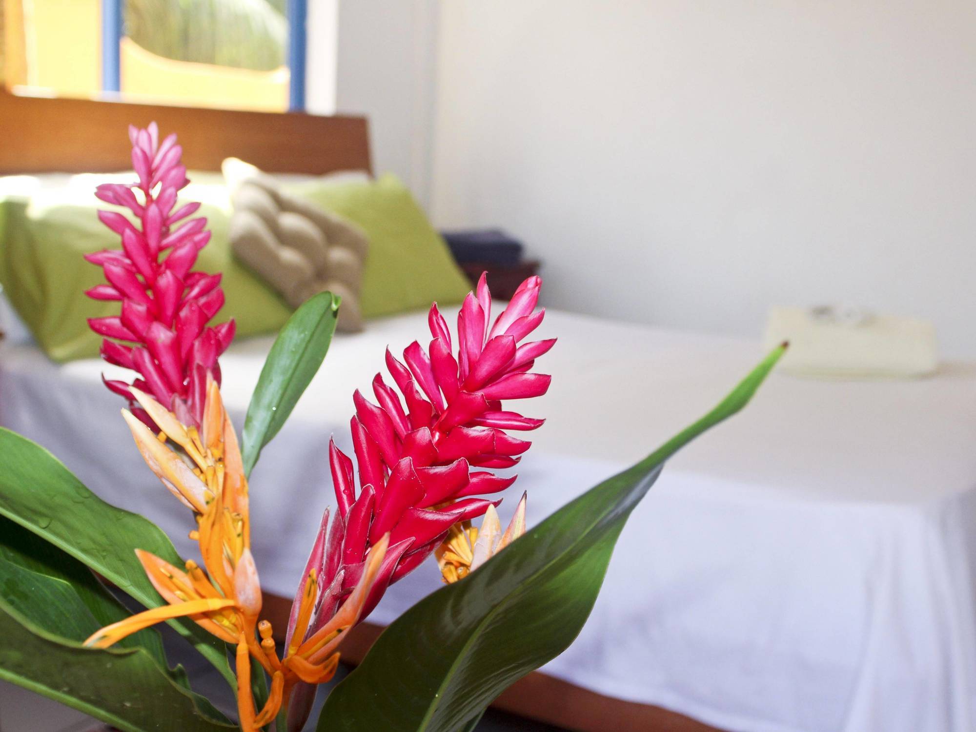 Vicky'S Holiday Apartment Beau Vallon  Dış mekan fotoğraf